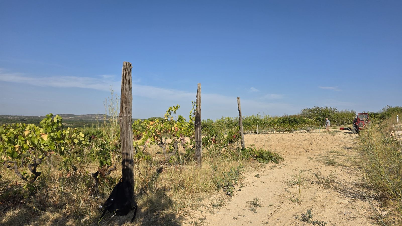 Vinogradi u Korlatu kraj Benkovca, između Bukovice i Ravnih kotara